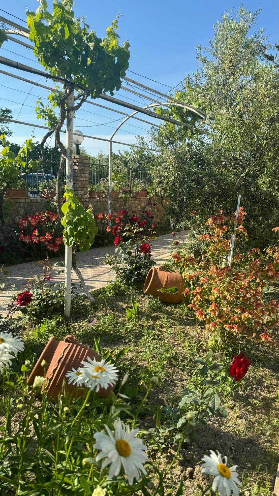 Apidalos Naus Apartment Corfu  Εξωτερικό φωτογραφία