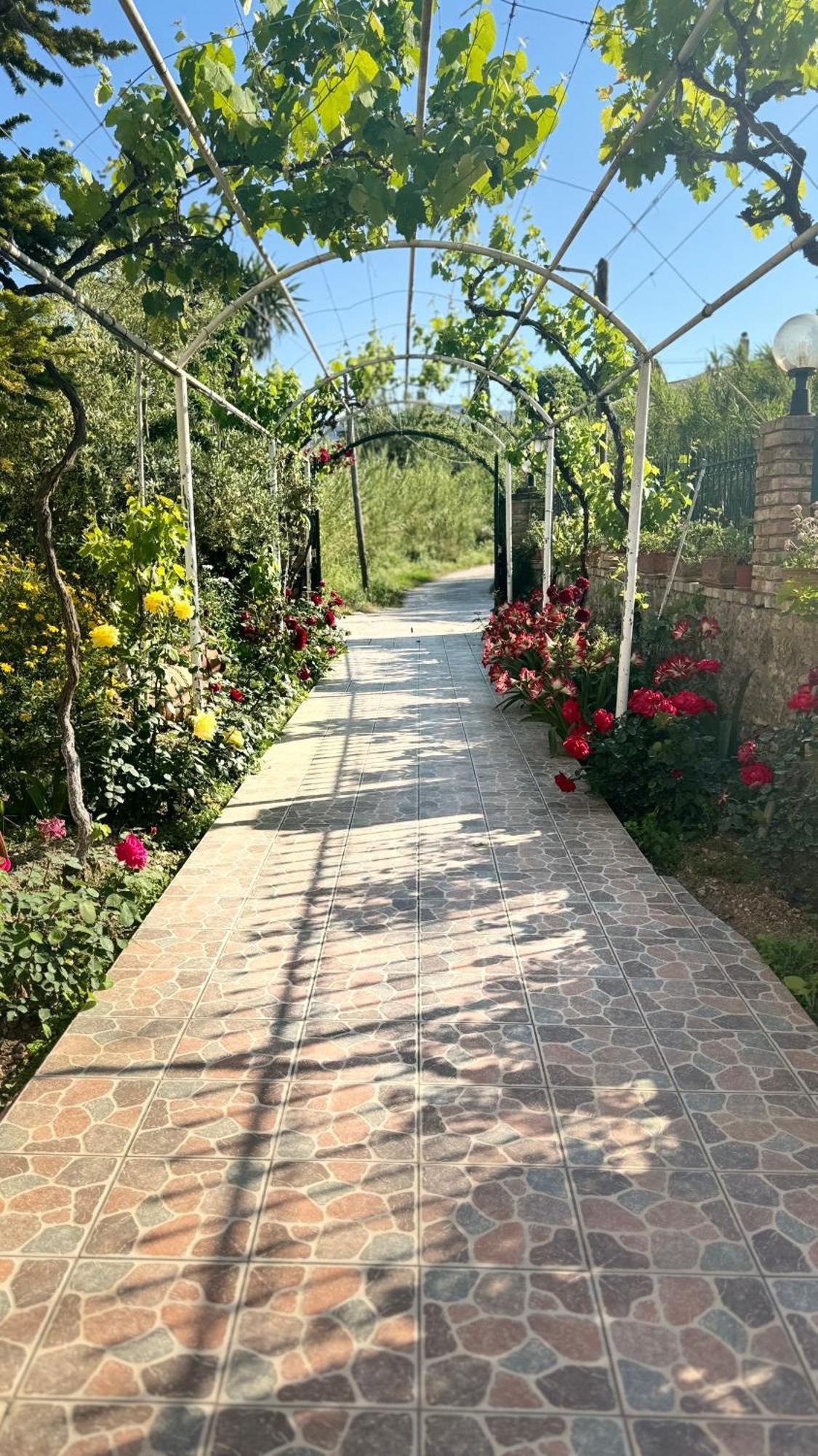 Apidalos Naus Apartment Corfu  Εξωτερικό φωτογραφία